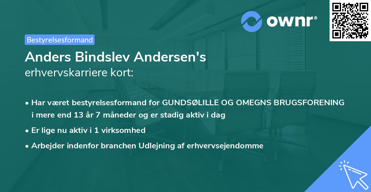 Anders Bindslev Andersen's erhvervskarriere kort