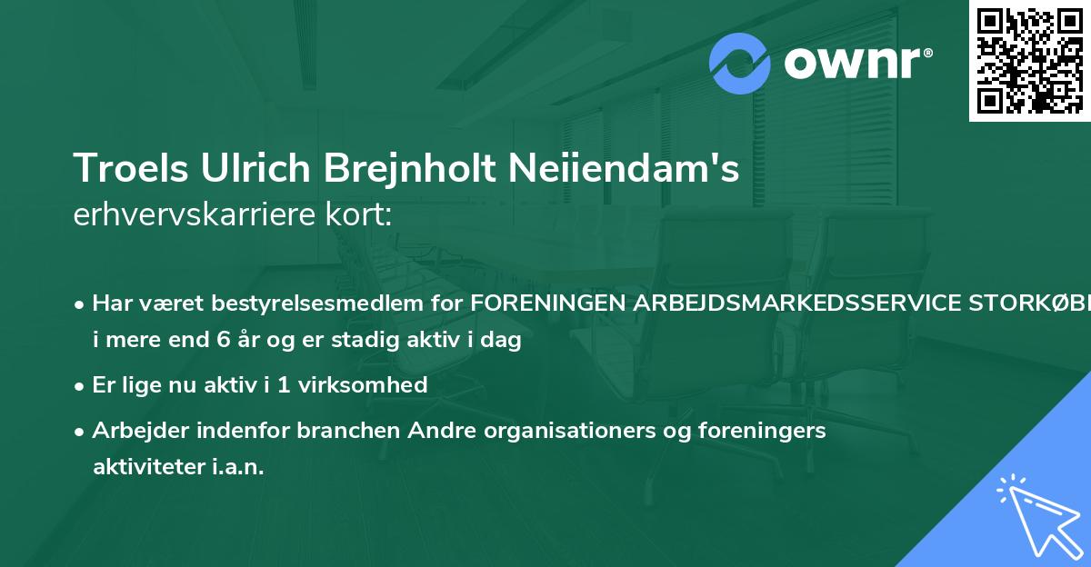Troels Ulrich Brejnholt Neiiendam's erhvervskarriere kort