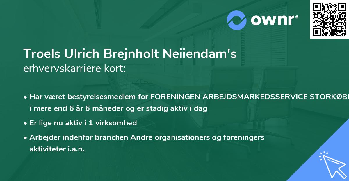 Troels Ulrich Brejnholt Neiiendam's erhvervskarriere kort