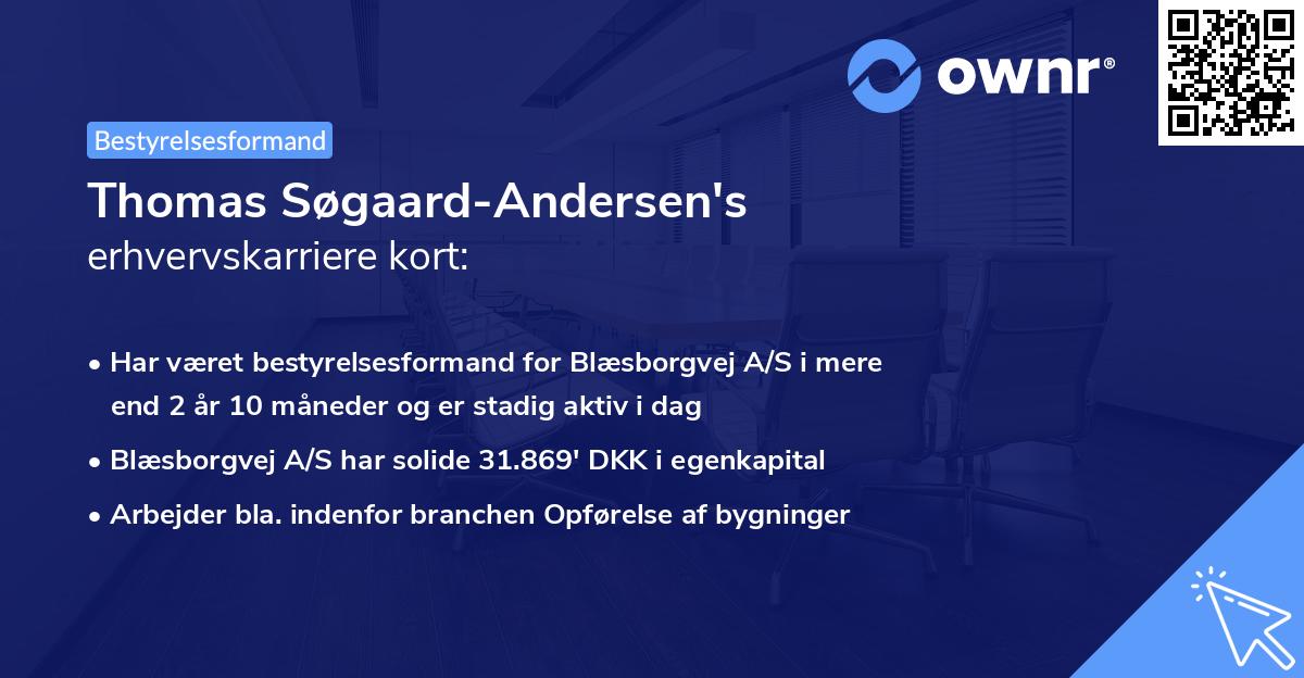 Thomas Søgaard-Andersen's erhvervskarriere kort