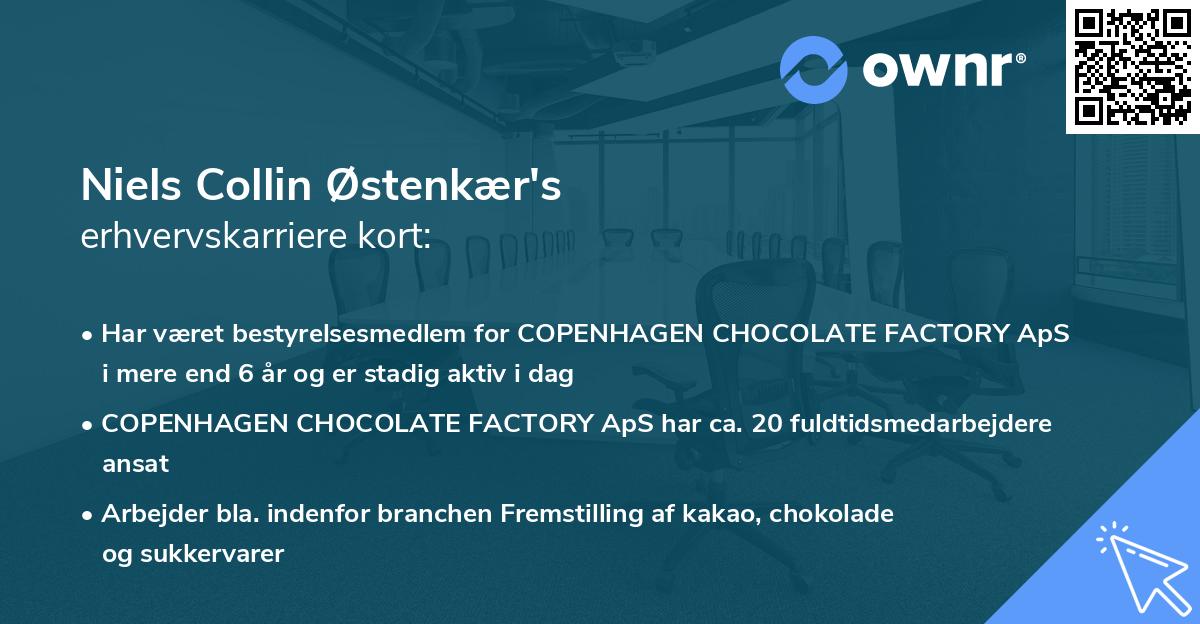 Niels Collin Østenkær's erhvervskarriere kort