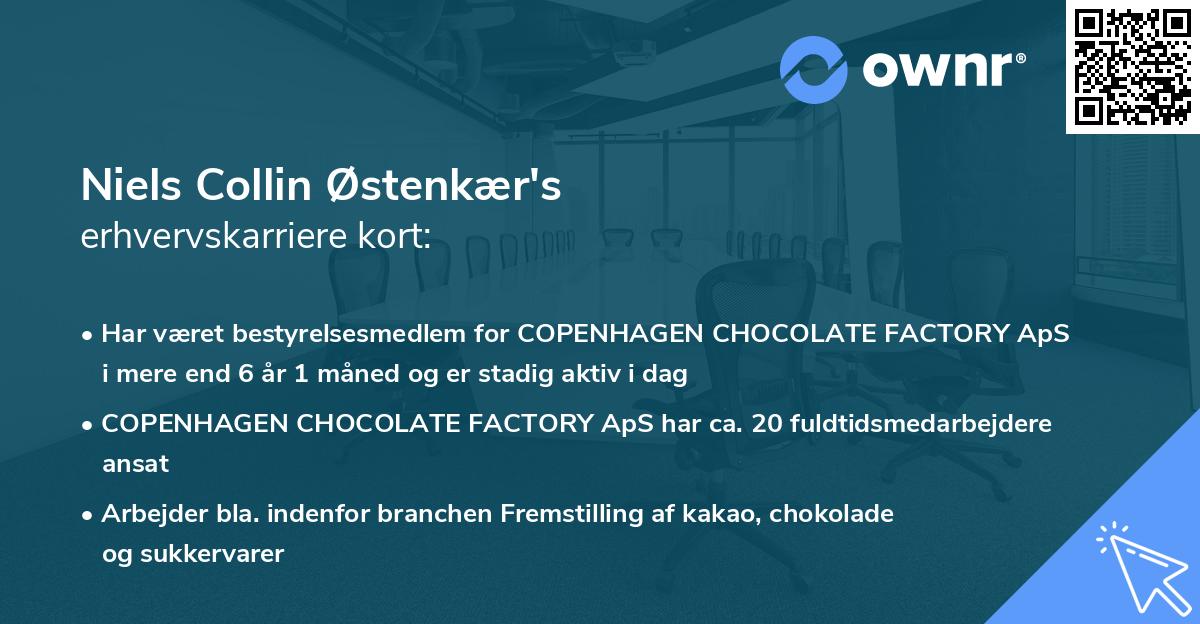 Niels Collin Østenkær's erhvervskarriere kort