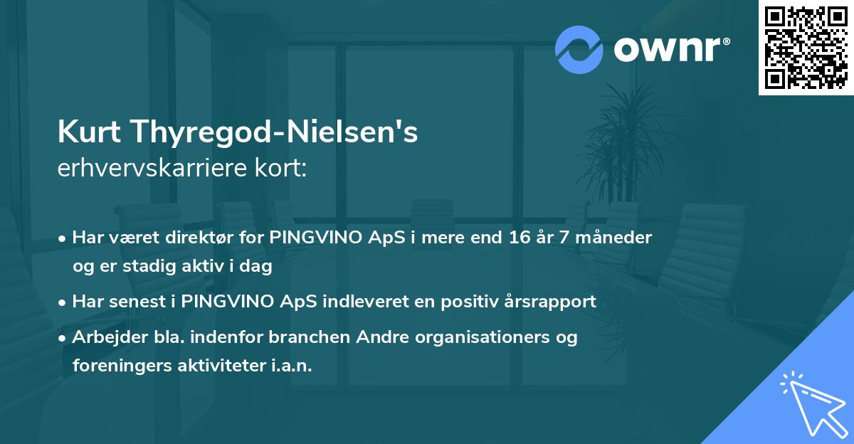 Kurt Thyregod-Nielsen's erhvervskarriere kort