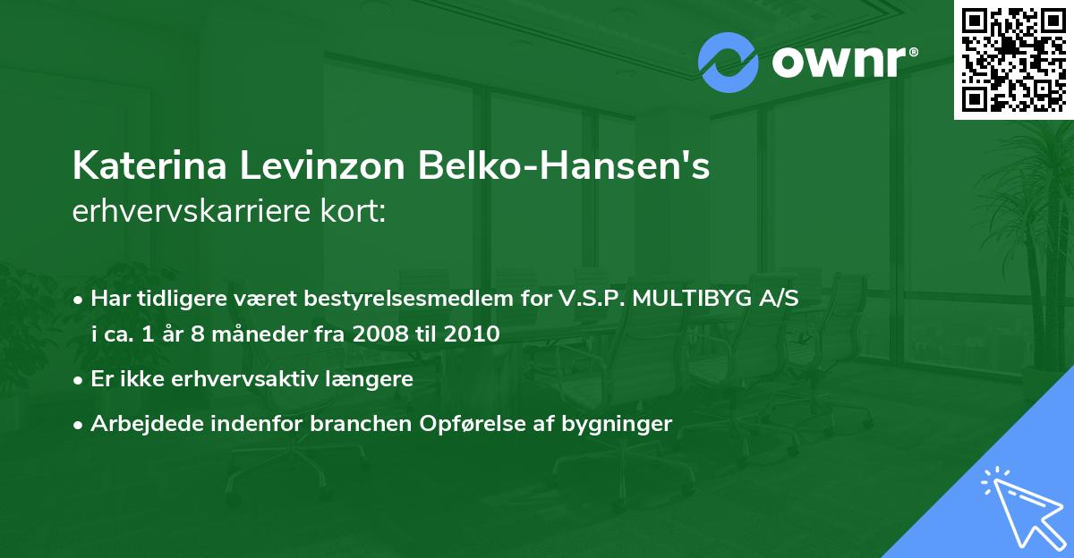 Katerina Levinzon Belko-Hansen's erhvervskarriere kort
