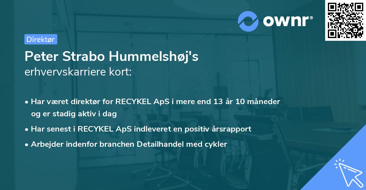 Peter Strabo Hummelshøj's erhvervskarriere kort