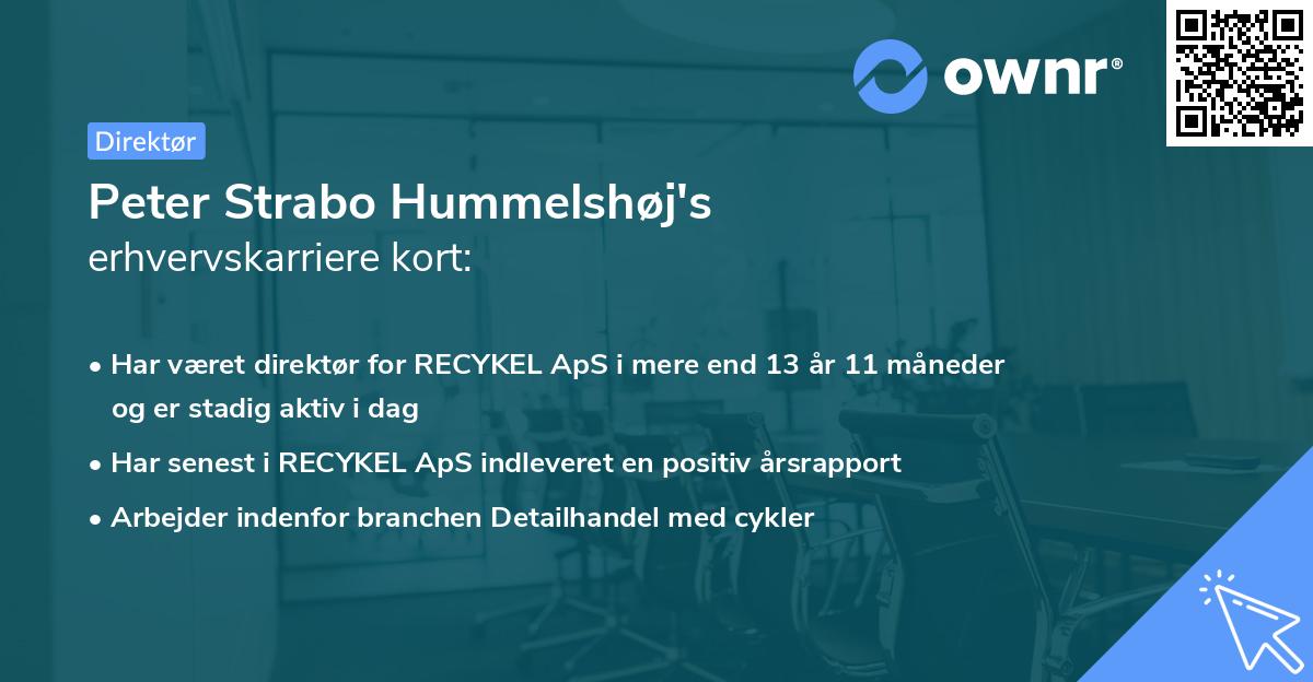 Peter Strabo Hummelshøj's erhvervskarriere kort