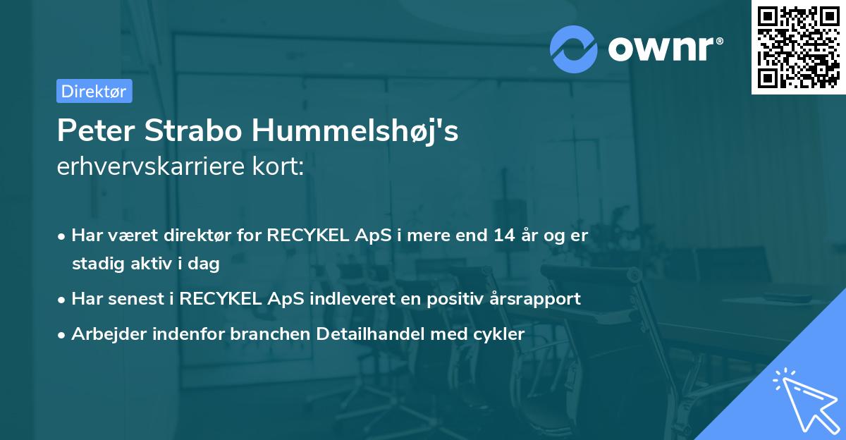 Peter Strabo Hummelshøj's erhvervskarriere kort