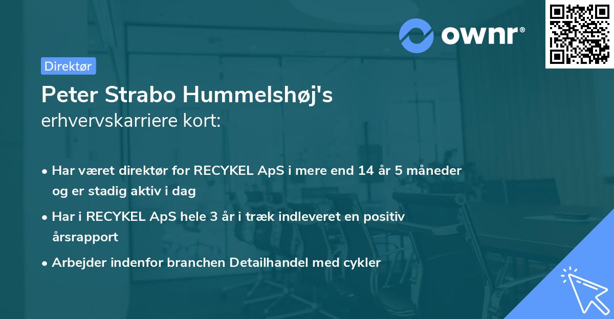Peter Strabo Hummelshøj's erhvervskarriere kort