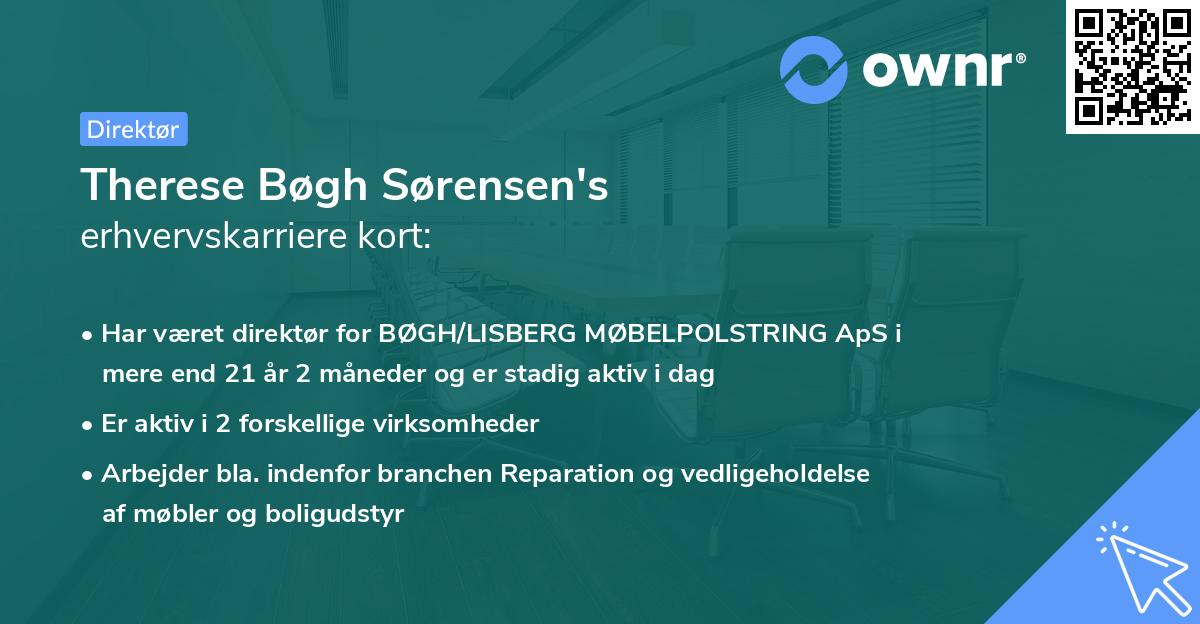 Therese Bøgh Sørensen's erhvervskarriere kort