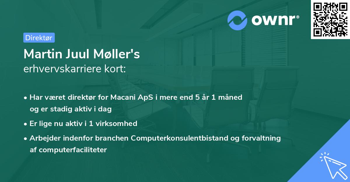 Martin Juul Møller's erhvervskarriere kort