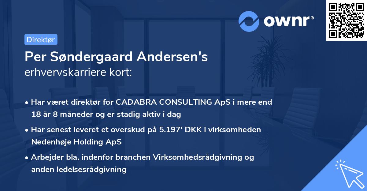 Per Søndergaard Andersen's erhvervskarriere kort