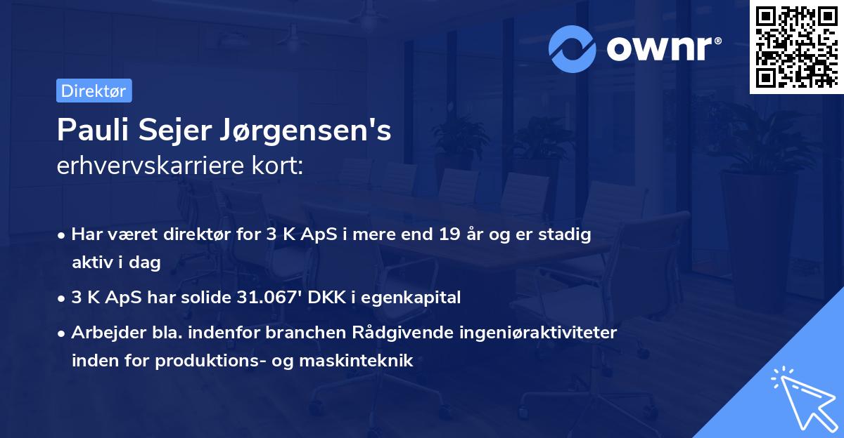Pauli Sejer Jørgensen's erhvervskarriere kort