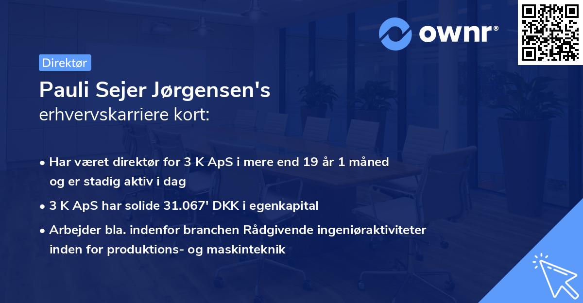 Pauli Sejer Jørgensen's erhvervskarriere kort