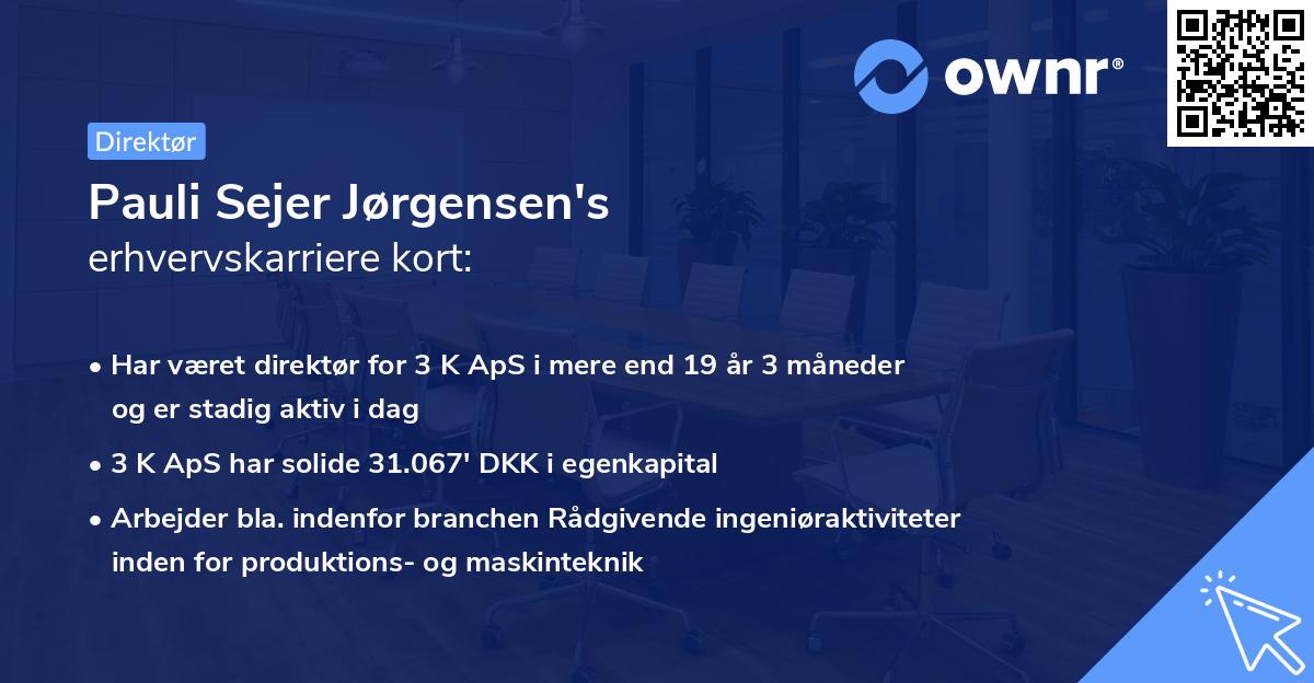 Pauli Sejer Jørgensen's erhvervskarriere kort