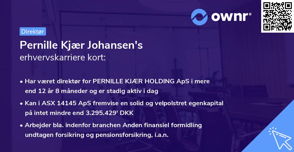 Pernille Kjær Johansen's erhvervskarriere kort