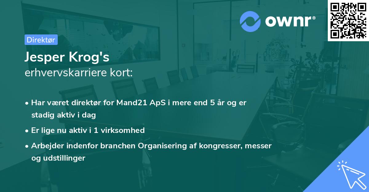 Jesper Krog's erhvervskarriere kort