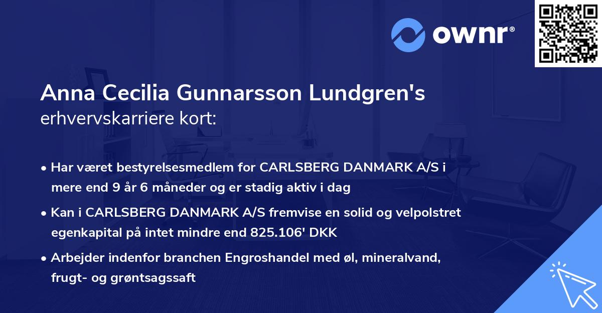 Anna Cecilia Gunnarsson Lundgren's erhvervskarriere kort