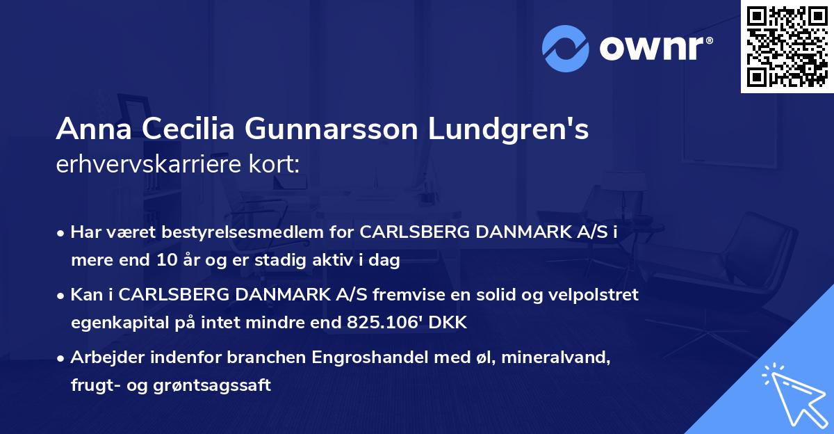 Anna Cecilia Gunnarsson Lundgren's erhvervskarriere kort