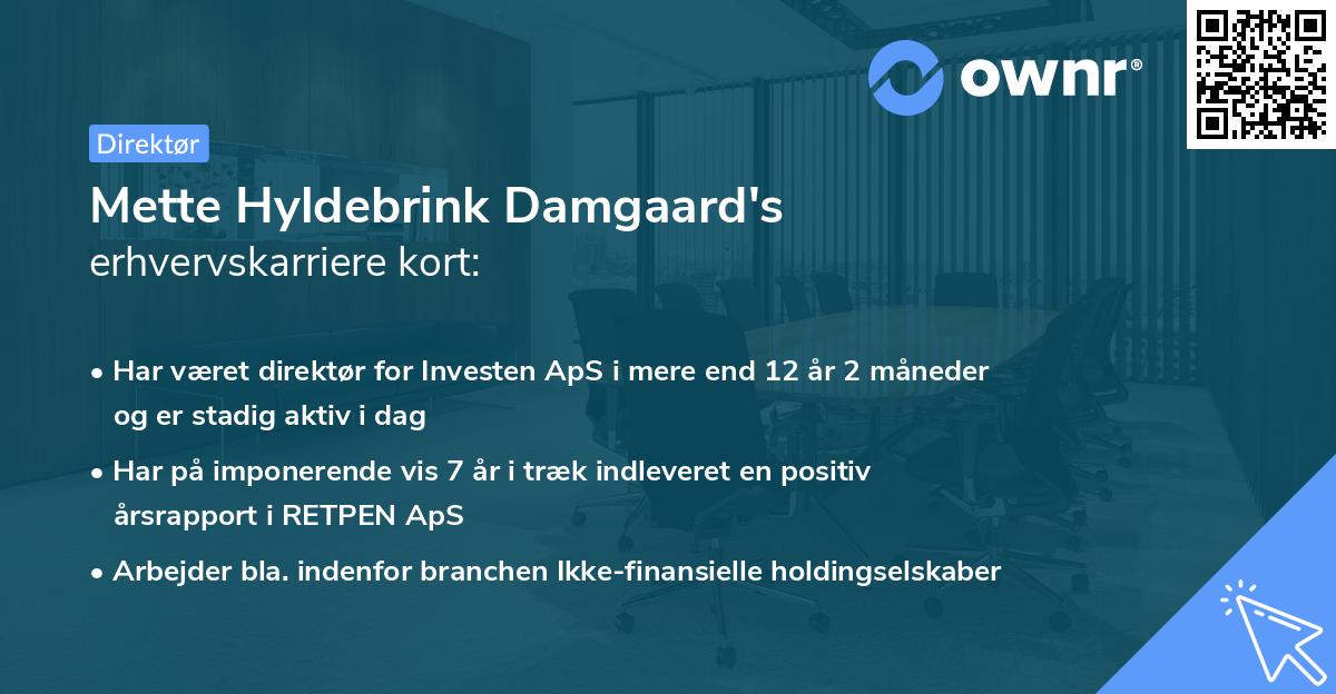 Mette Hyldebrink Damgaard's erhvervskarriere kort