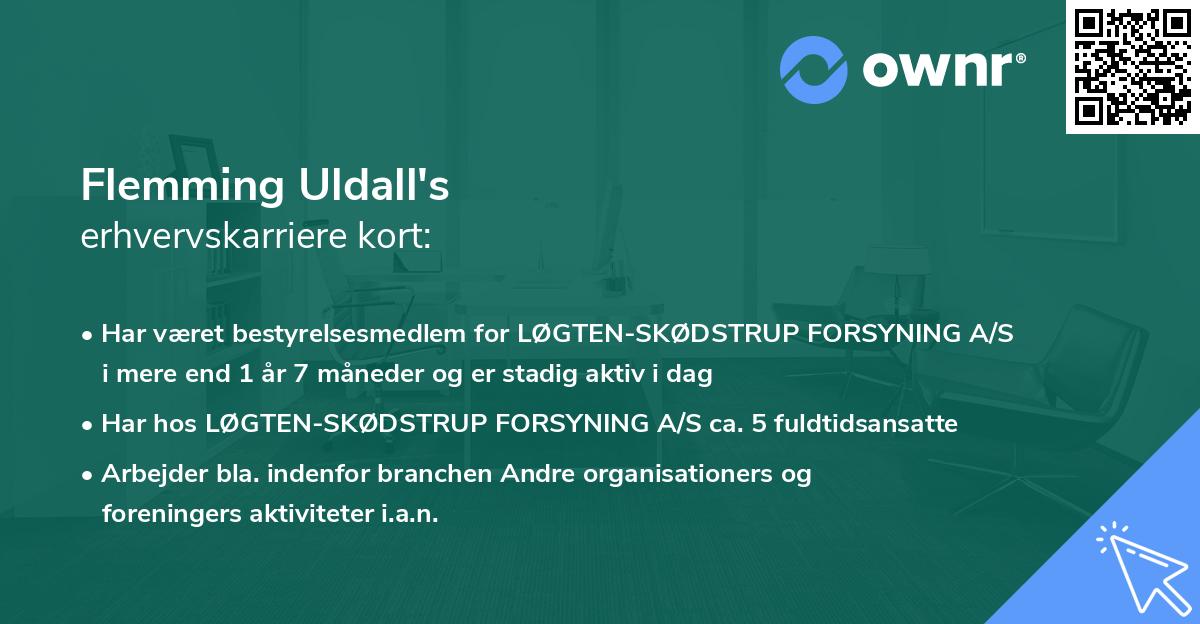 Flemming Uldall's erhvervskarriere kort