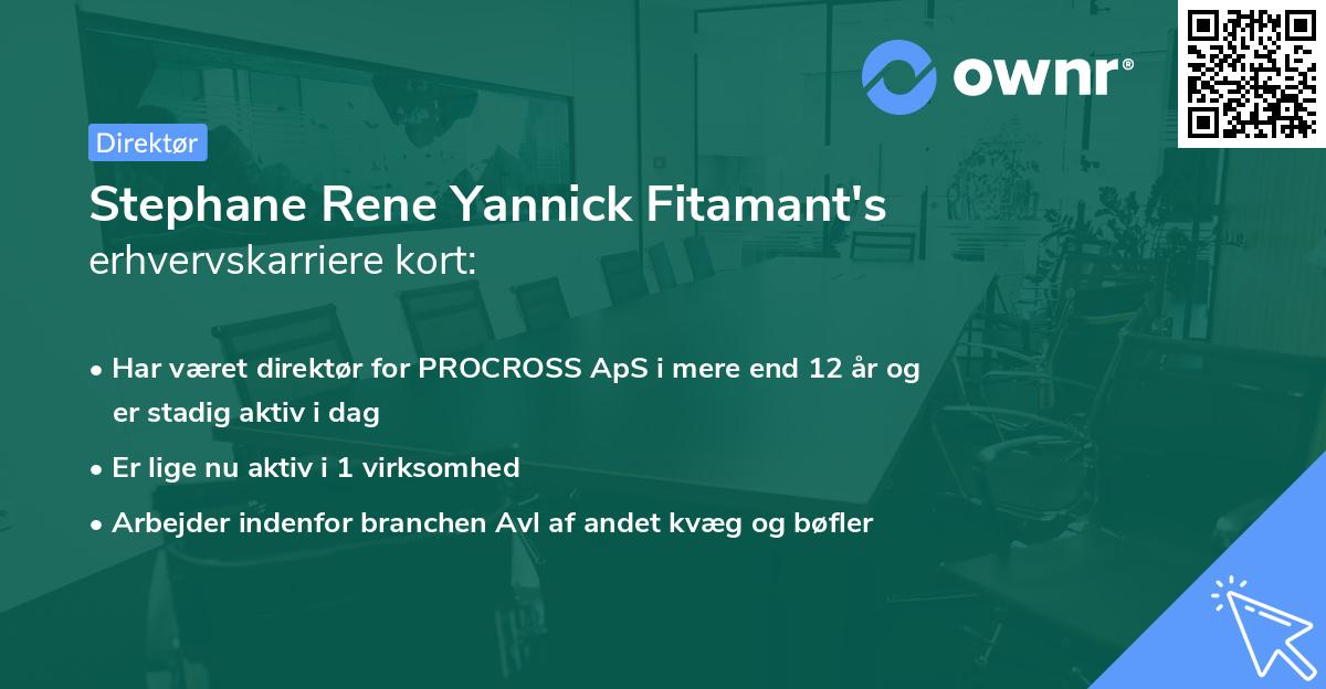 Stephane Rene Yannick Fitamant's erhvervskarriere kort