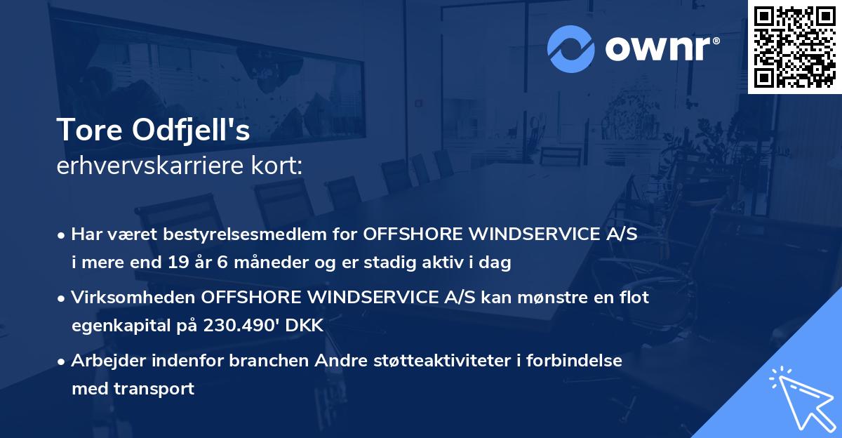 Tore Odfjell's erhvervskarriere kort