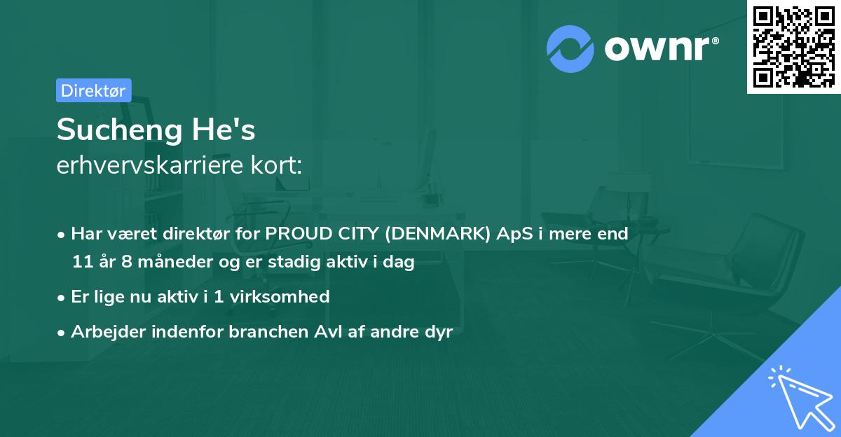 Sucheng He's erhvervskarriere kort