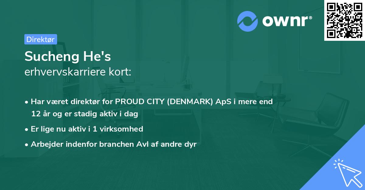 Sucheng He's erhvervskarriere kort