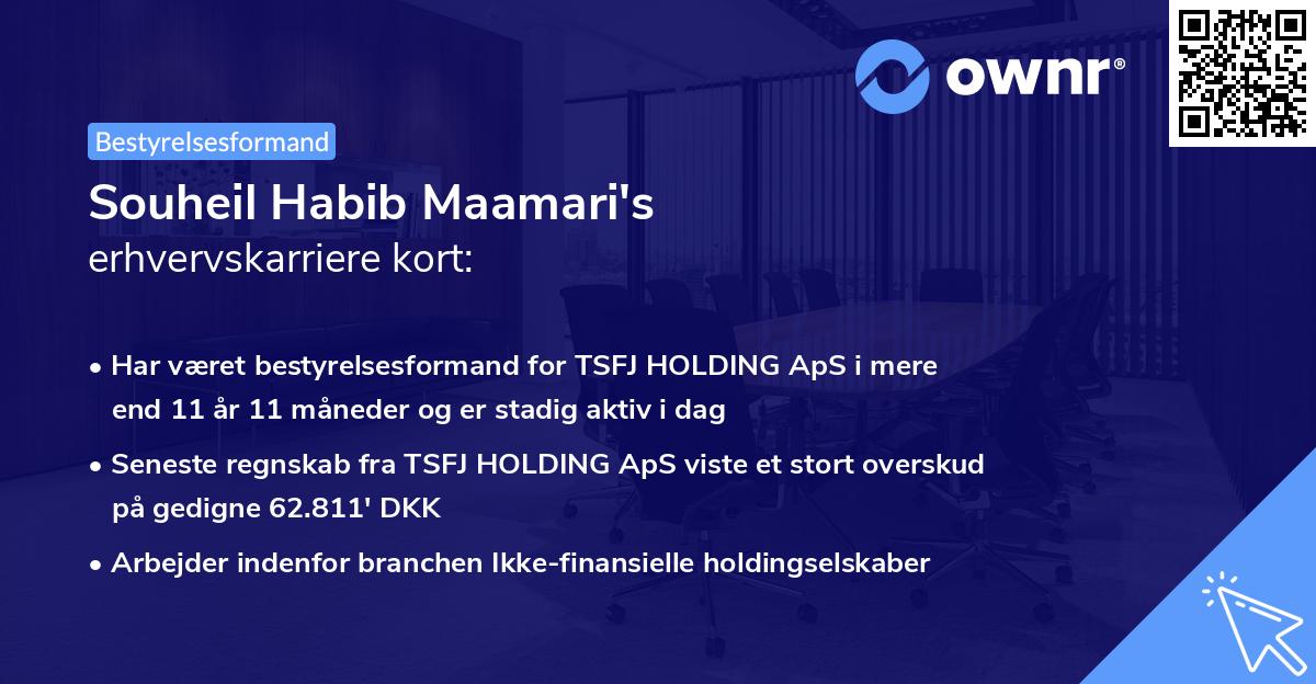 Souheil Habib Maamari's erhvervskarriere kort