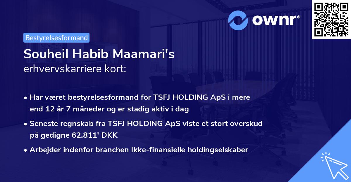 Souheil Habib Maamari's erhvervskarriere kort