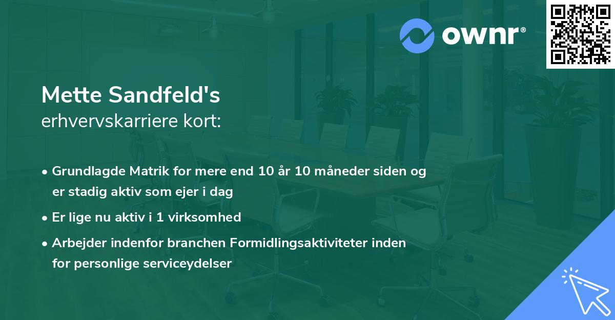 Mette Sandfeld's erhvervskarriere kort