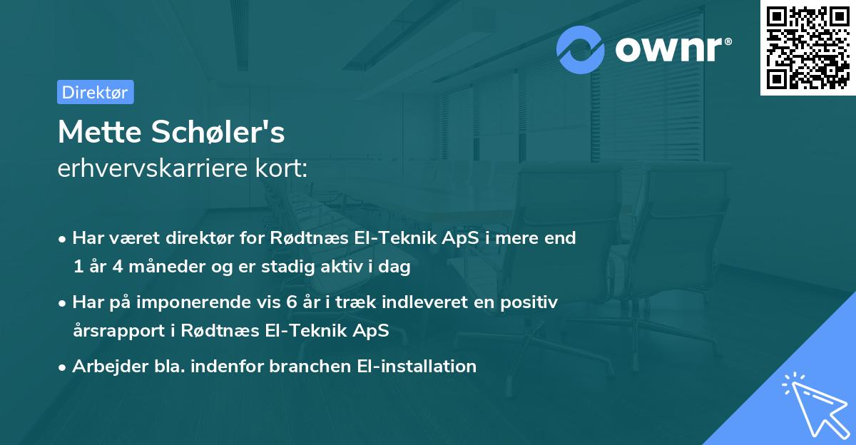Mette Schøler's erhvervskarriere kort