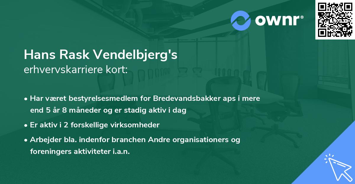 Hans Rask Vendelbjerg's erhvervskarriere kort