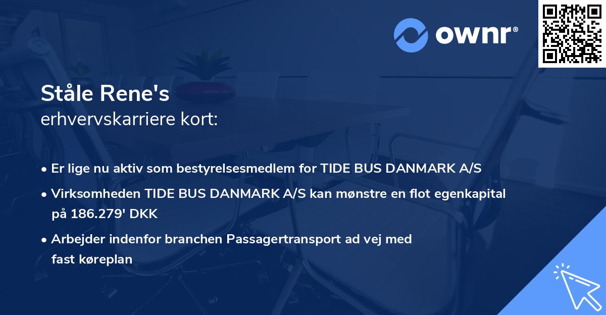 Ståle Rene's erhvervskarriere kort