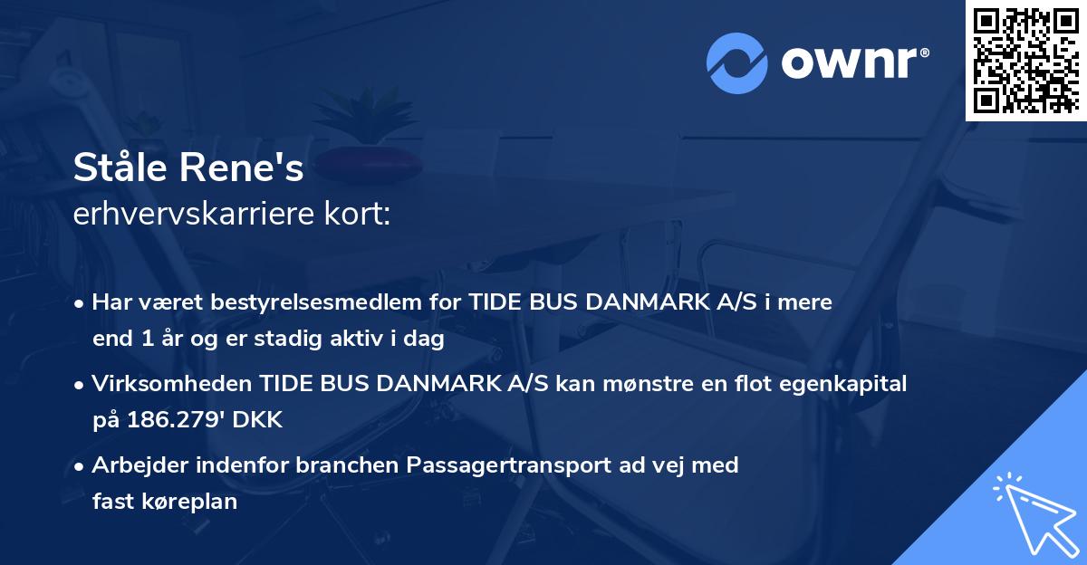 Ståle Rene's erhvervskarriere kort