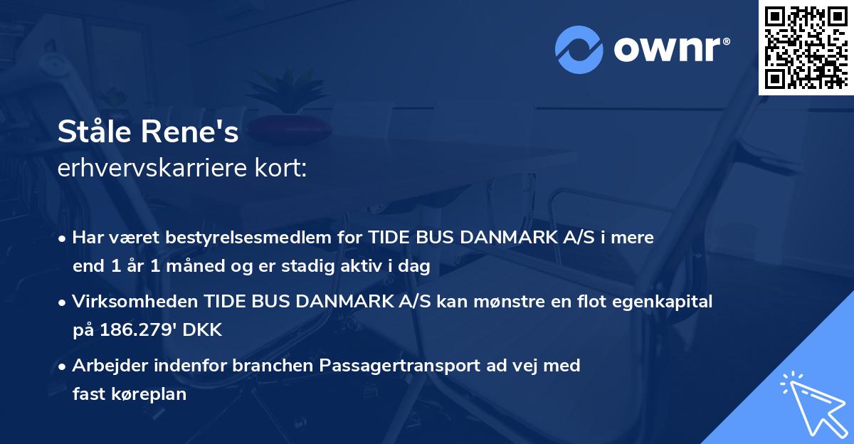 Ståle Rene's erhvervskarriere kort