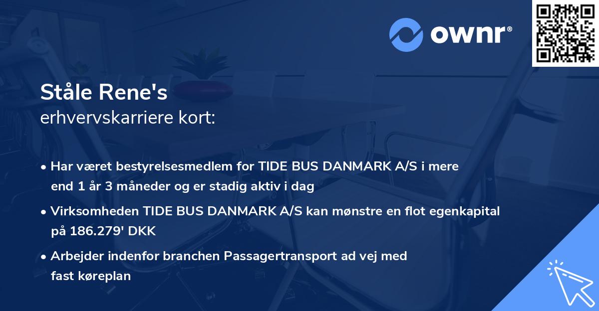 Ståle Rene's erhvervskarriere kort