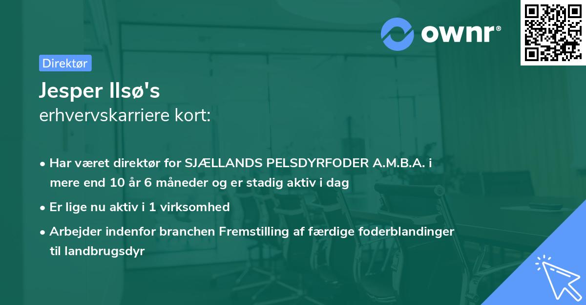 Jesper Ilsø's erhvervskarriere kort