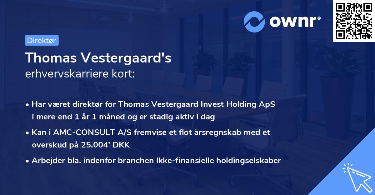 Thomas Vestergaard's erhvervskarriere kort