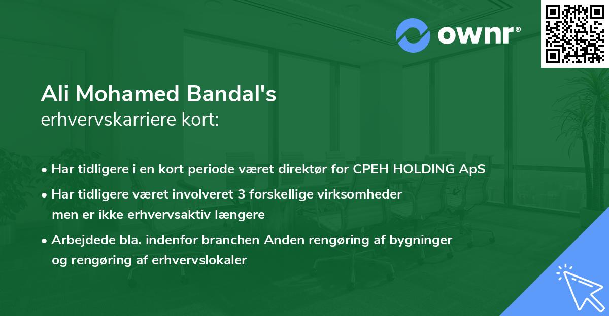 Ali Mohamed Bandal's erhvervskarriere kort