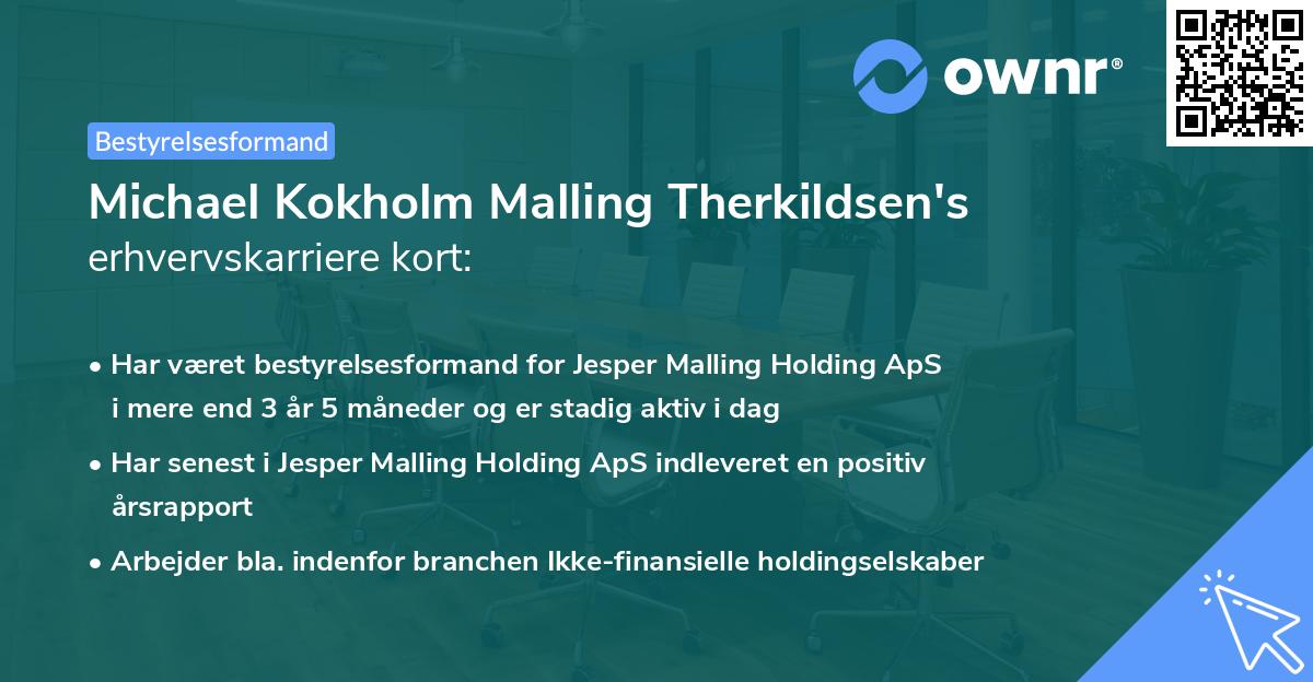 Michael Kokholm Malling Therkildsen's erhvervskarriere kort
