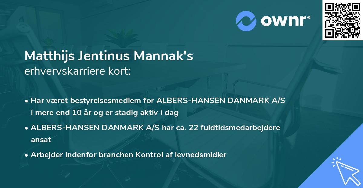 Matthijs Jentinus Mannak's erhvervskarriere kort