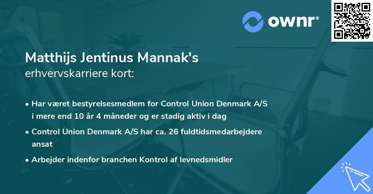 Matthijs Jentinus Mannak's erhvervskarriere kort