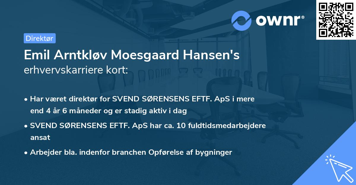 Emil Arntkløv Moesgaard Hansen's erhvervskarriere kort