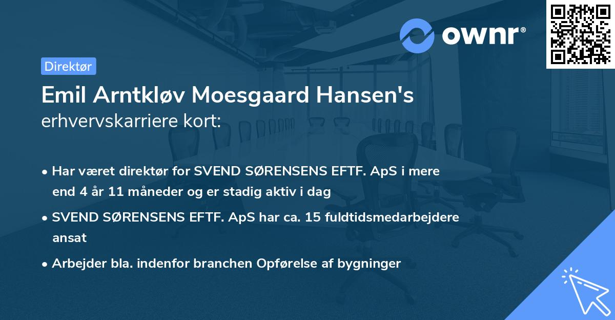 Emil Arntkløv Moesgaard Hansen's erhvervskarriere kort