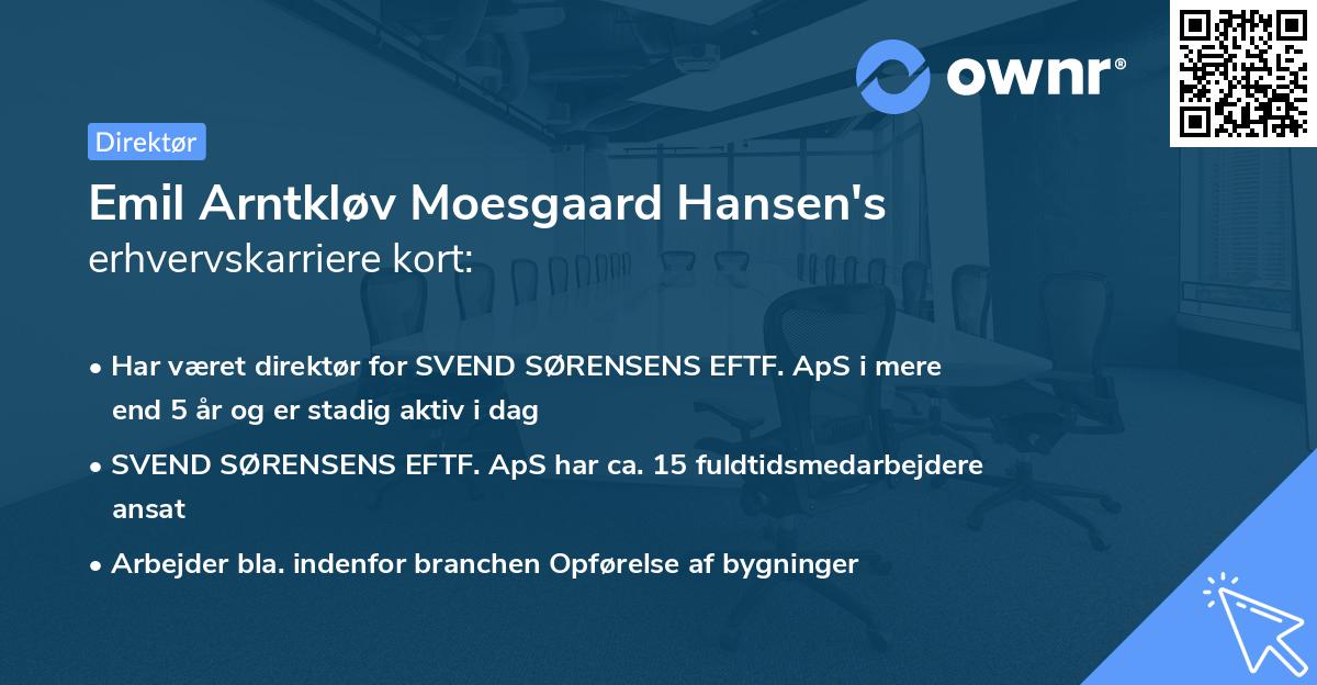 Emil Arntkløv Moesgaard Hansen's erhvervskarriere kort