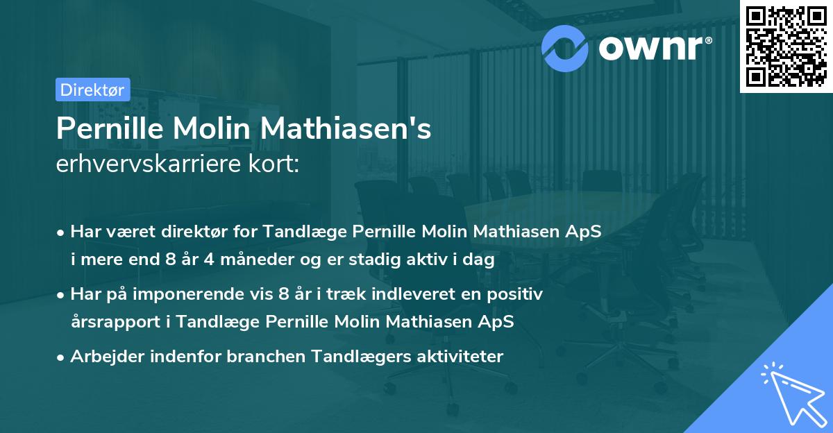 Pernille Molin Mathiasen's erhvervskarriere kort