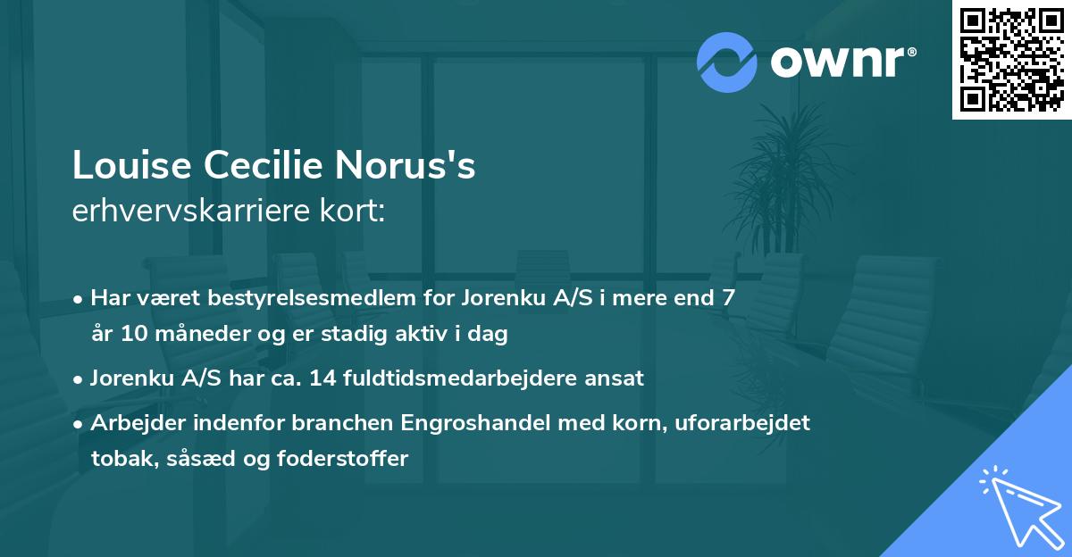 Louise Cecilie Norus's erhvervskarriere kort