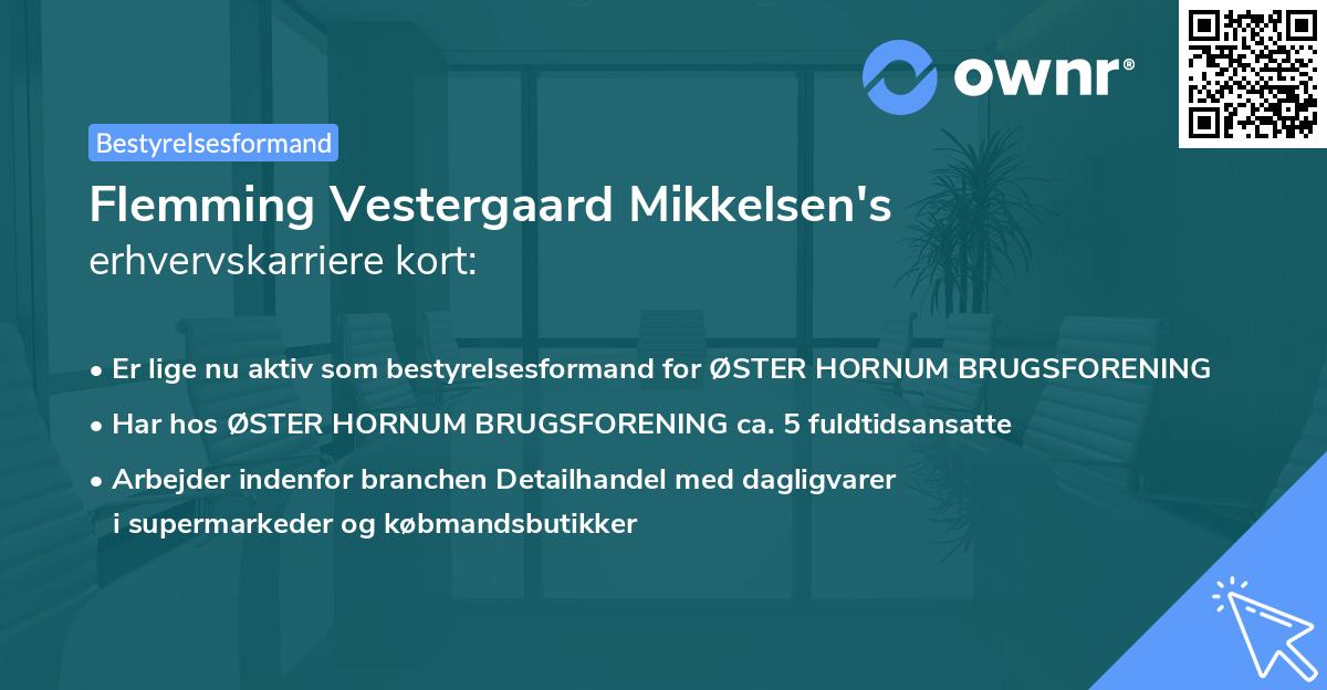 Flemming Vestergaard Mikkelsen's erhvervskarriere kort