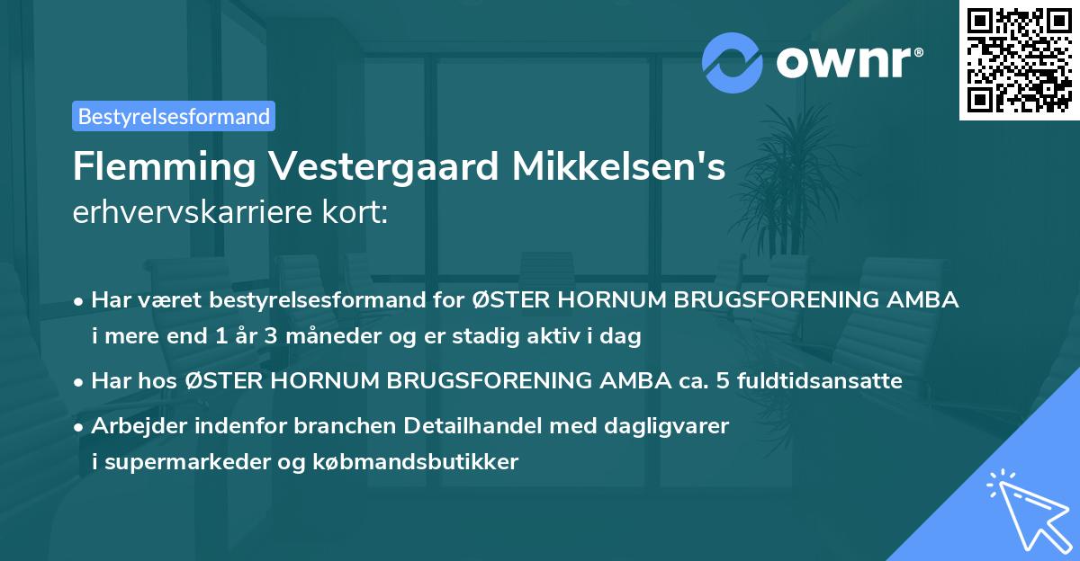 Flemming Vestergaard Mikkelsen's erhvervskarriere kort